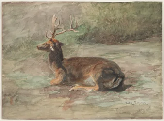 Recumbent Stag, Second Half 19th Century