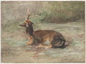 Recumbent Stag, Second Half 19th Century