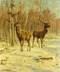 Two Stags in a Clearing in Winter