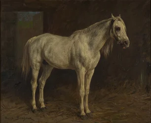 White Horse