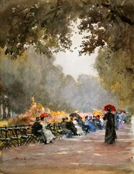 The Row in the Morning