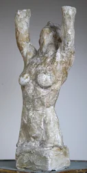 Hermaphrodite