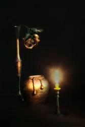 Dried Rose Candle Glow