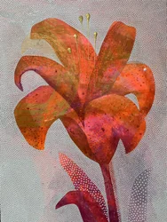 Vibrant Orange Lily