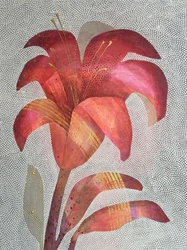 Vibrant Red Lily