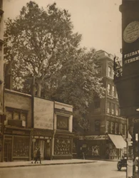 A Favoured Inmate of the City: The Plane-Tree in Cheapside, c1935