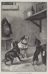 A Committee of Ways and Means