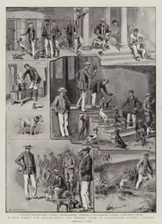 A New Hobby for School-Boys, the Kennel Club at Clayesmore School, Enfield