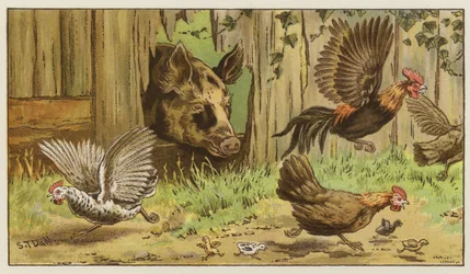 A Startling Effect in Oak Frame