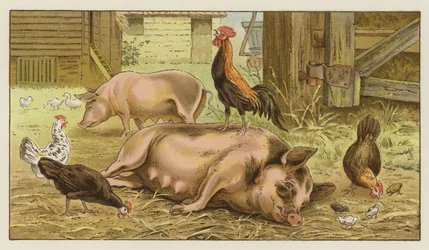 Familiarity Breeds Contempt