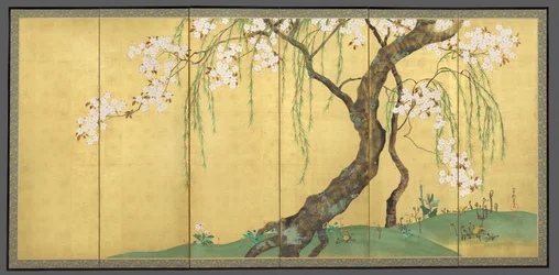 Cherry and Maple Trees