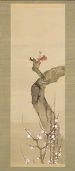 Red and White Plum Blossoms