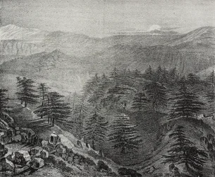 View of Mount Lebanon with its famous cedars, Lebanon