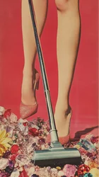 Glamorous Vacuuming Gems