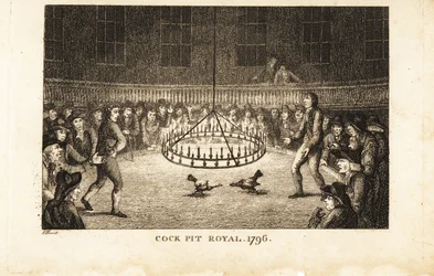 Gamblers watching a cockfight by candlelight at the Cock Pit Royal, St