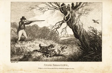 Huntsman with Musket and Spaniels Hunting for Snipe Near a River