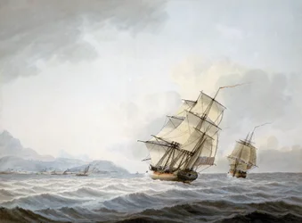 The Ships 