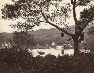 A Peep from Upper Lake Road Showing Temple and Island with Park - Fruit Tree in Foreground