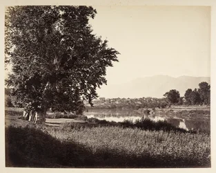 Bij Bihara on the Jhelum