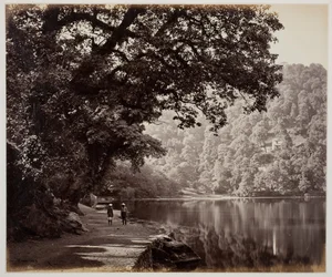 Untitled [trees near water, India]