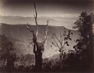 View from Senchal