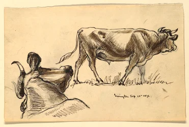 Sketches. Cattle, Irvington, September 1876