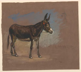 Study: A Mule, 1872–75