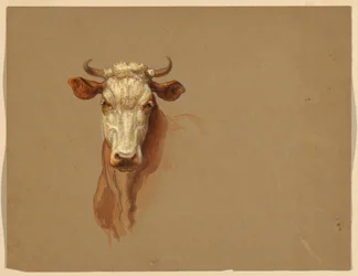 Drawing, Two Studies. Cattle, 1876