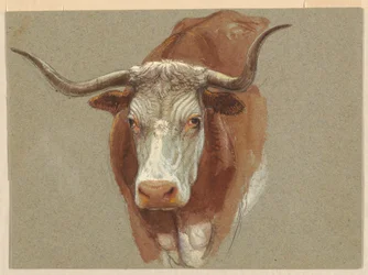 Head of a Cow or Ox