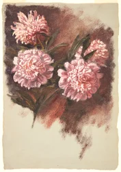 Red Peonies