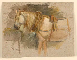 Study of a Horse, Quimper, Brittany