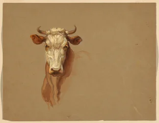 Two Studies of Cattle