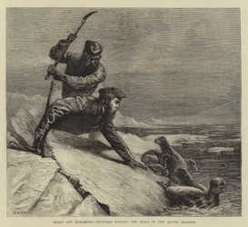 Seals and Sealskins, Hunters Killing the Seals in the Arctic Regions