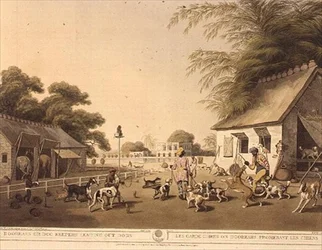 Dooreahs or Dog Keepers Leading Out Dogs, from Oriental Field Sports by Samuel Howett