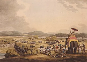 Driving Elephants Into A Keddah, from Oriental Field Sports