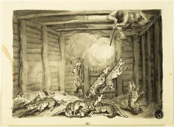 Wolf Hunt in Russia