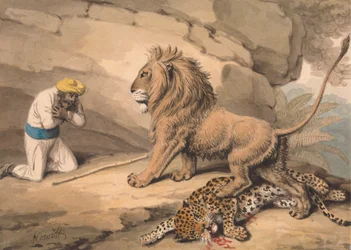 A Lion Standing over a Wounded Leopard