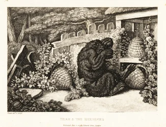 A Brown Bear Attacked by an Army of Bees