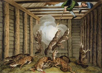 American Anecdote: Shooting the Wolves, engraved by Matthew Dubourg and the artist, published by Edward Orme, 1813