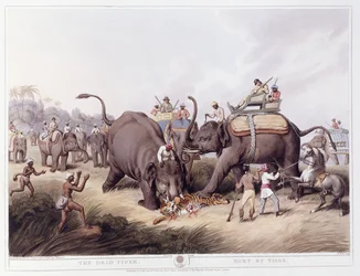 The Dead Tiger; Mort du tigre, 1807