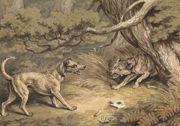 The Dog and the Wolf