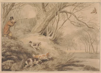 Woodcock Shooting