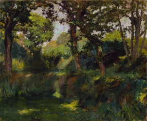 Wooded Landscape