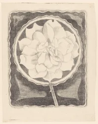 Rose (in Circle, with Wavy Edge)