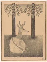 Barasingha Deer