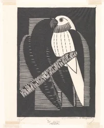 Parakeet