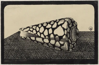 Shell, Facing Left