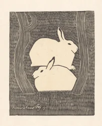 Two Snow Hares