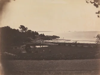 Landscape, Pride