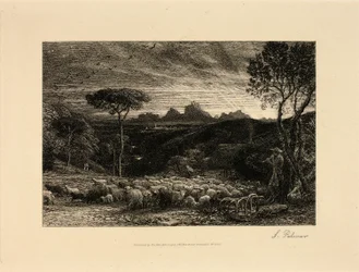 Early Morning